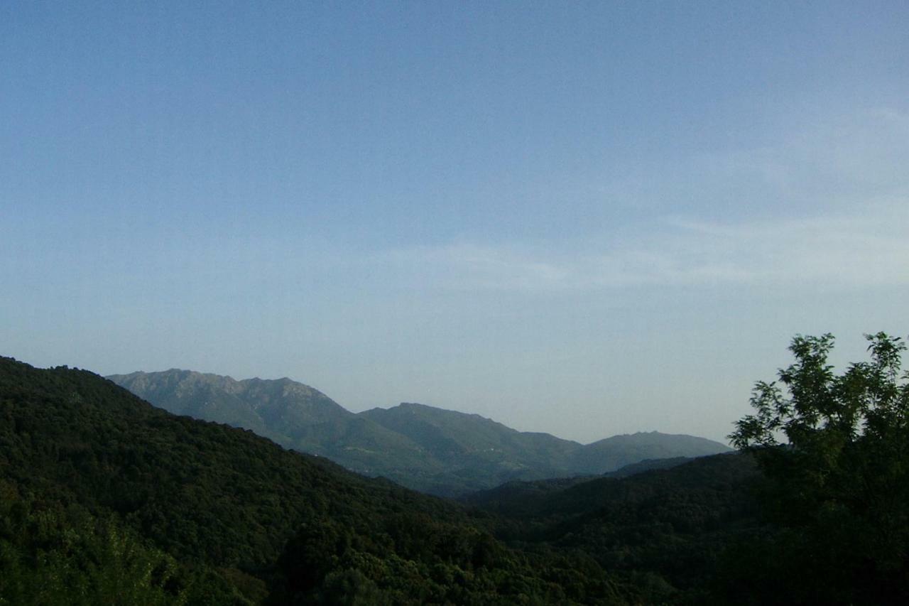 A Pivarella Grosseto-Prugna Экстерьер фото